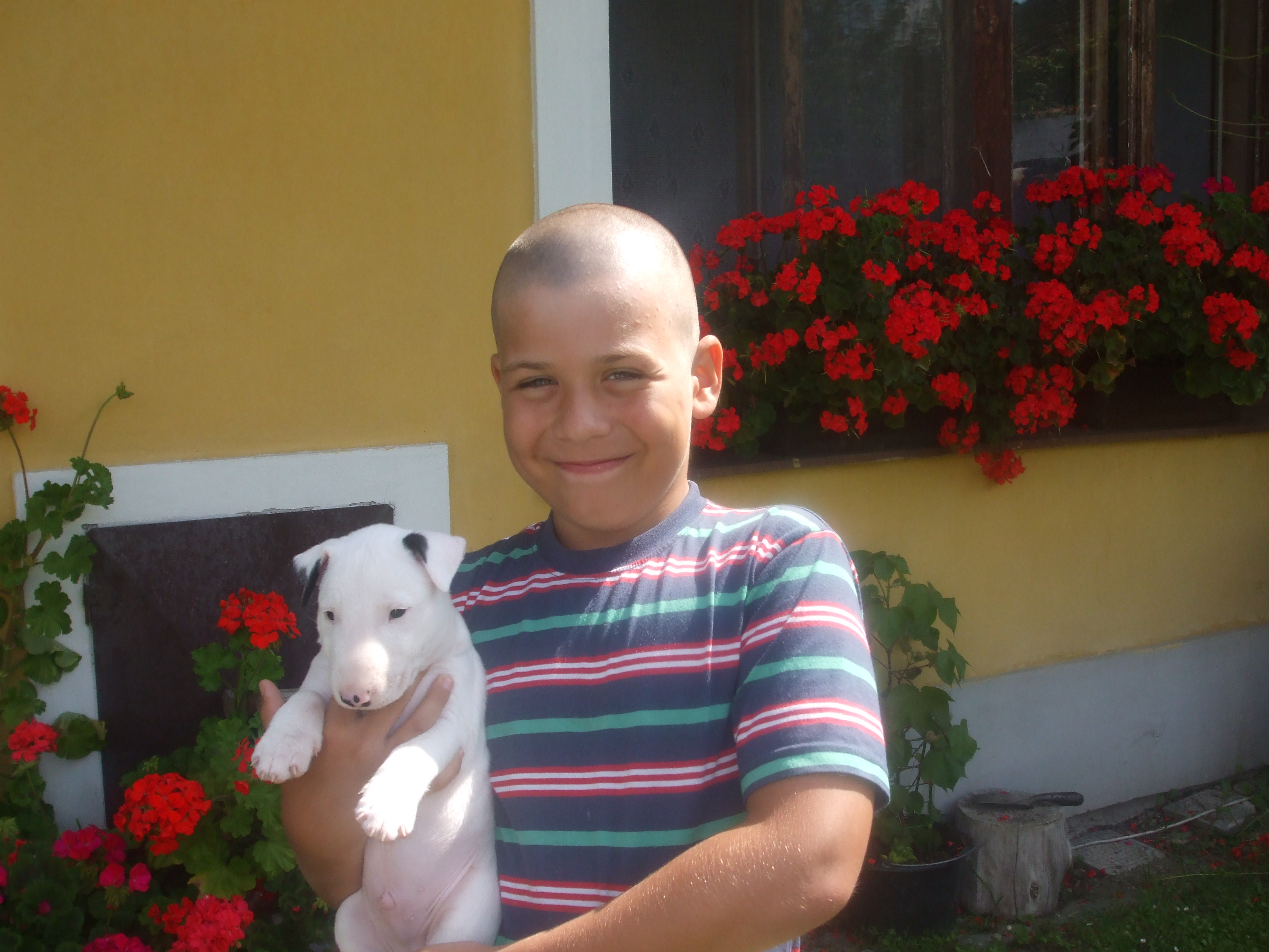 Snímek 024.jpg